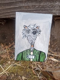 Image 1 of Criminal Critter 9371