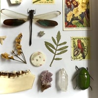 Image 3 of trinket frame #2