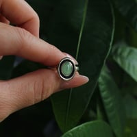 Image 2 of Jade Luck