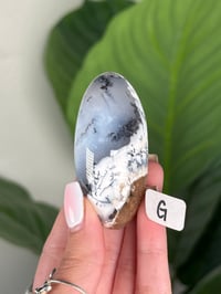 Image 7 of DENDRITIC OPAL SHIVAS
