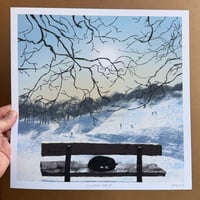 Winter Nap - Archive Quality Print