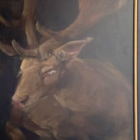 Image 2 of white buck 