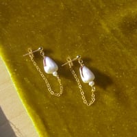 Cone shell chain earrings 