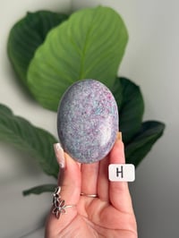 Image 8 of RUBY IN FUCHSITE PALMSTONES -INDIA- CHOOSE YOUR OWN