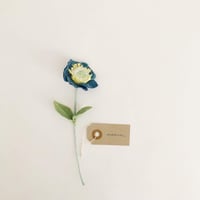 Image 4 of cocon flowers