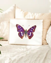 Image 3 of Apatura Ilia Butterfly Watercolor PRINT