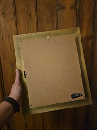 Image 6 of Large Black Box Frame With Taxiderny orbweaver Spider & Preserved Web