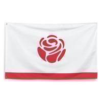 Roseville Minnesota City Vision Flag