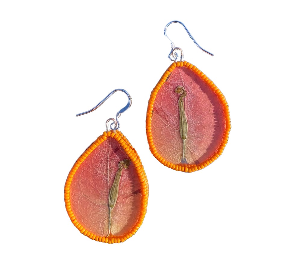 Image of Bougainvillea Petal Earrings - Pink