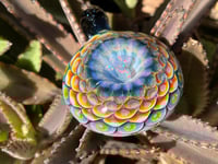 Image 2 of rainforest rainbow 