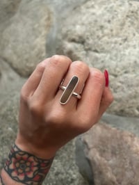 Rectangle walrus ivory