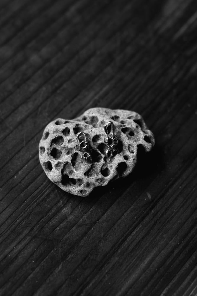 Image of Gwyran Earrings