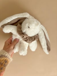 Image 2 of LAPIN MINIATURE BEIGE SABLE 