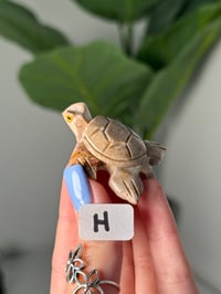 Image 8 of CHOOSE YOUR OWN MINI SOAPSTONE TURTLES