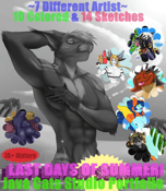 Image of Last Days of Summer Portfolio 