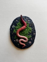 Image 1 of Worm and Pebbles: Small wall art
