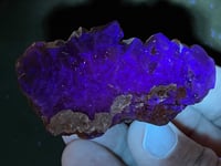 Image 7 of Pakistan Black Rose Fluorite UV Specimen #2507
