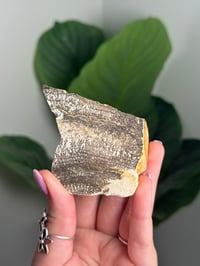 Image 1 of SELF STANDING DENDRITIC FELDSPAR -ITALY- F