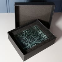 Image 5 of Tree Glass Block