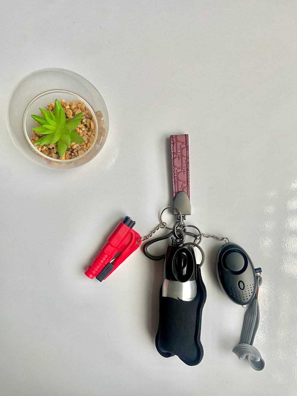 Image of Red Dior inspired practical set