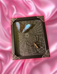 Caught In Your Web (A)