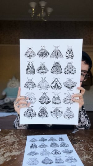 Image of MOTH CHART A3