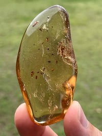 Image 1 of Copal Amber With Preserved Insects #2631