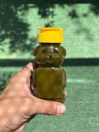 matcha honey bears 