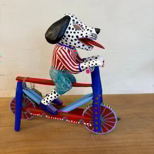 Image of Cyclist from Oaxaca ABFAB 