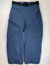 Image 2 of BLUE AND GREEN LIZARD PANTS