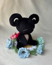 Image 2 of Dotty (reserved for rtb winner)