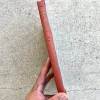 Image 2 of Michelangelo book