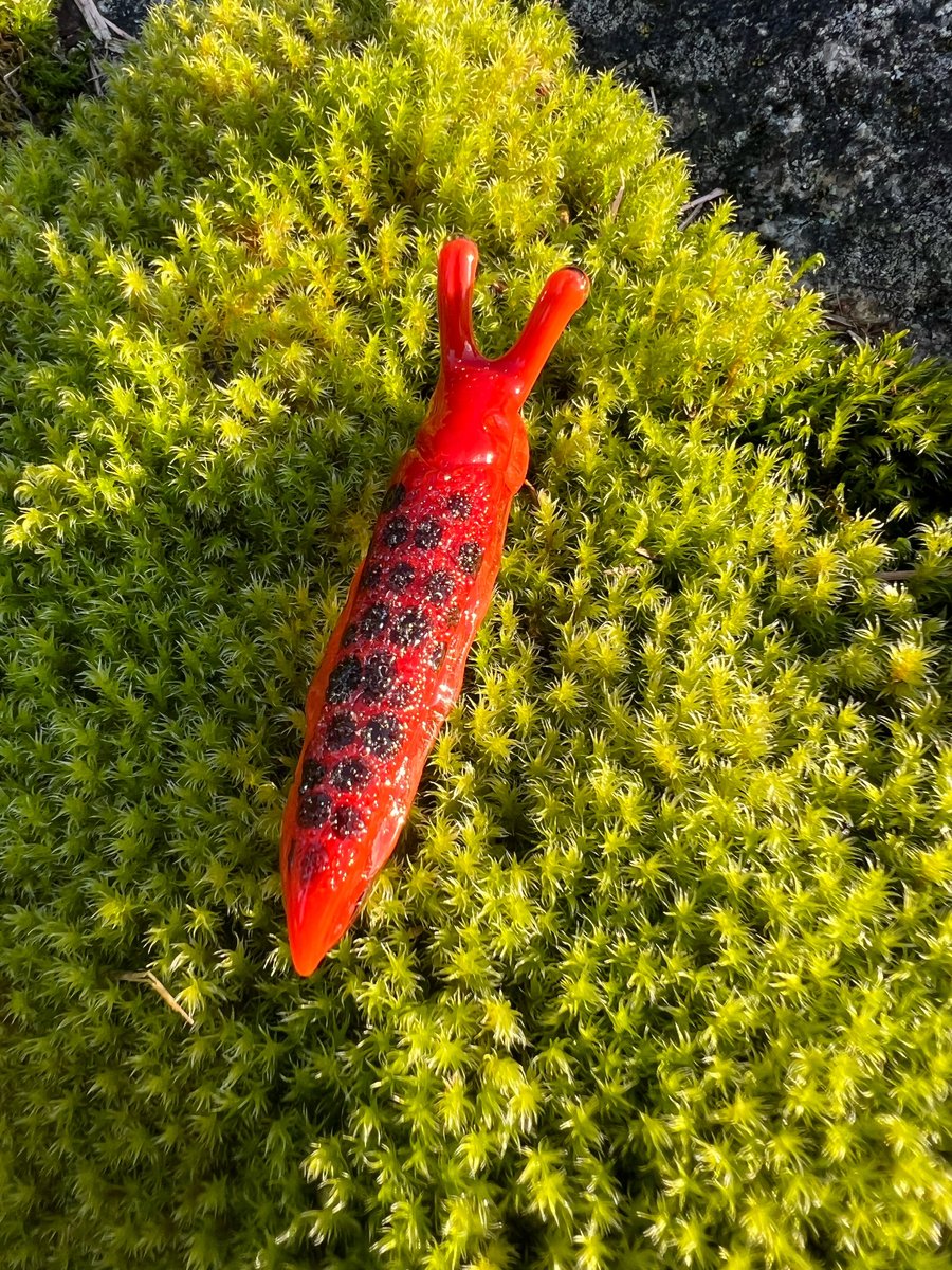 Image of Orange Boro Slug