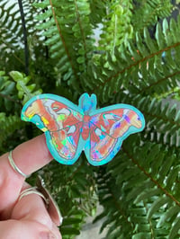 Image 4 of Holographic Altas Moth Sticker 