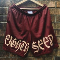 Eighthseed Champion Shorts