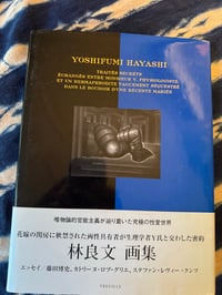 Image 1 of Yoshifumi Hayashi, Traites Secrets, 1994.