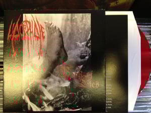 Image of L’ACEPHALE Book of Lies 7”