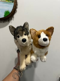 Image 1 of Douglas Dog set
