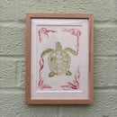 Image 1 of £50 originals - Turtle watercolour