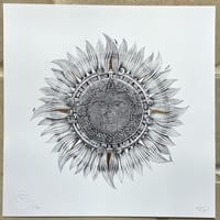 Image 2 of Imperius Solis