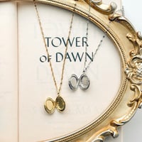 Image 2 of HEALER’S HEART