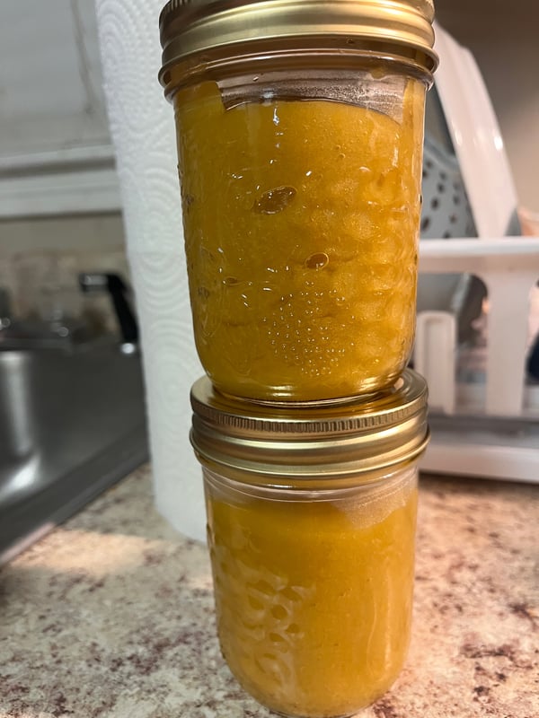 Image of Berry and Peach Seamoss