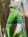 Image of Maggie Adult Coat size Medium