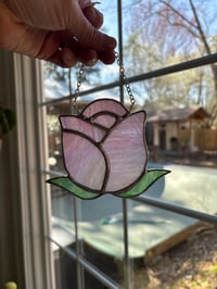 Image 2 of Pink Rose