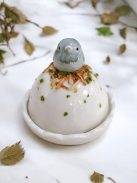 Image 1 of Pigeon Mini Cloche