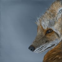 Image 1 of Fantastic 'Mrs' Fox