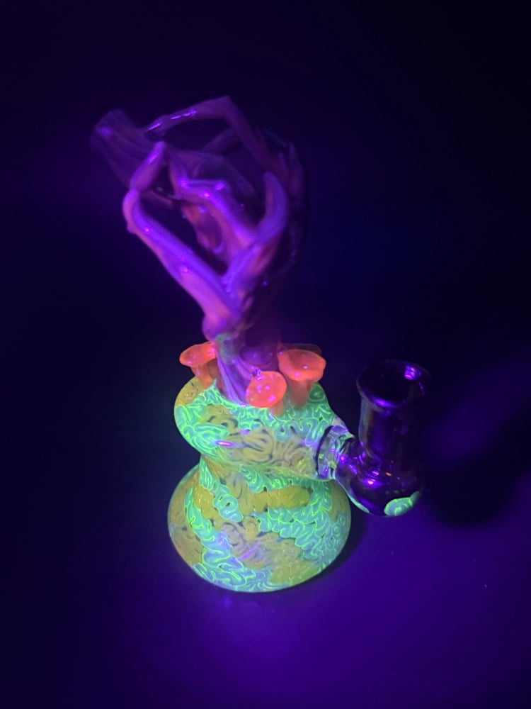 Image of Chanterelle Jammer