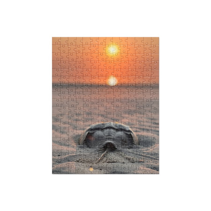 Image of Horseshoe Crab Sunset Jigsaw Puzzle