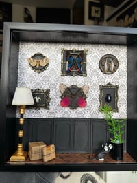 Image 1 of Multi specimen gallery wall