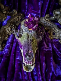Image 4 of Purple Quartz & Carborundum - Coyote Skull
